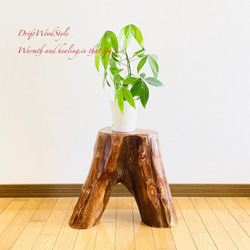 流木インテリア 大型流木から切り出したスツール 一点物 フラワースタンド 椅子 ベンチ 木製 北欧 N27 1枚目の画像