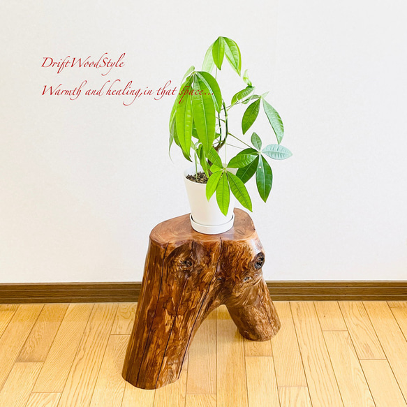 流木インテリア 大型流木から切り出したスツール 一点物 フラワースタンド 椅子 ベンチ 木製 北欧 N27 6枚目の画像