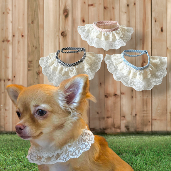 ポンポンフリルレースおめかしスタイ首輪首飾り/刺繍チェック柄テープ/アジャスター調節/小型犬ウサギ猫 1枚目の画像