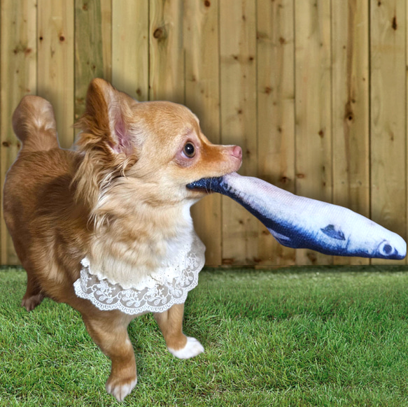 ポンポンフリルレースおめかしスタイ首輪首飾り/刺繍チェック柄テープ/アジャスター調節/小型犬ウサギ猫 2枚目の画像