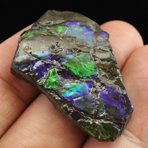 アンモライト アンモナイト化石 スライス 原石 7.4g #92234 天然石