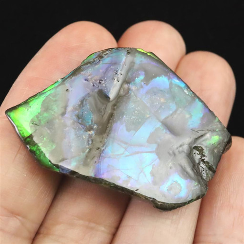 アンモライト アンモナイト化石 スライス 原石 11.0g #73637 天然石