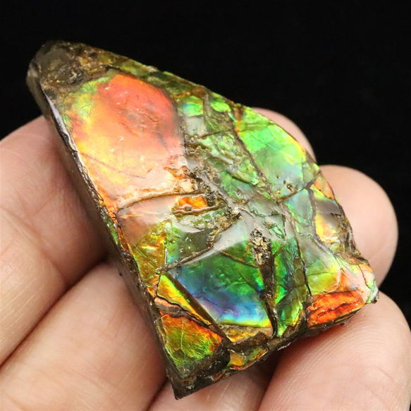 アンモライト アンモナイト化石 スライス 原石 11.7g #28322 天然石