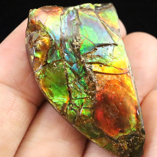 アンモライト アンモナイト化石 スライス 原石 11.7g #28322 天然石