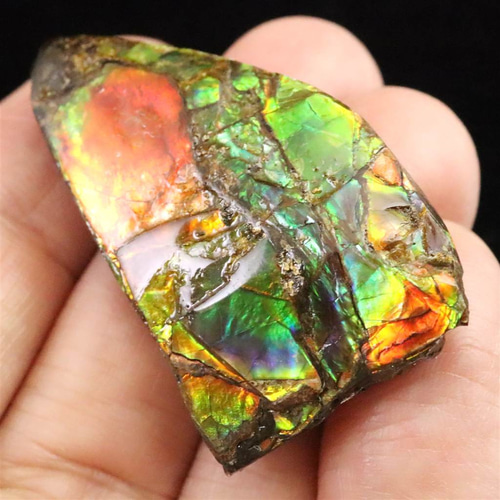 アンモライト アンモナイト化石 スライス 原石 11.7g #28322 天然石