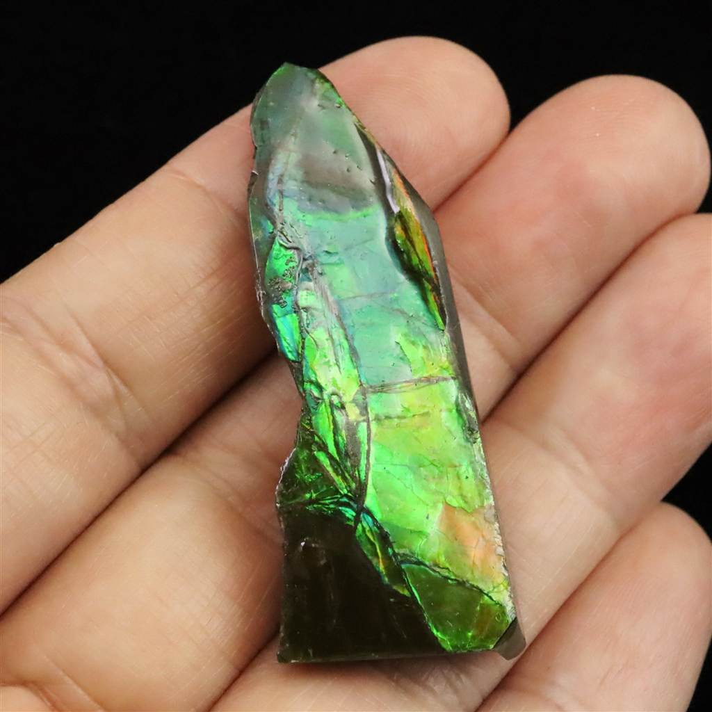 アンモライト アンモナイト化石　スライス　原石　8.6ｇ #36383