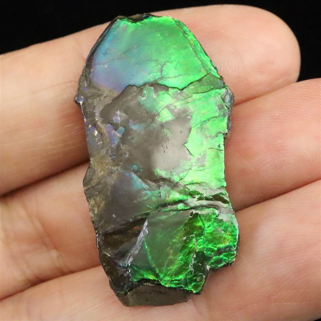 アンモライト アンモナイト化石　スライス　原石　4.4ｇ #69928