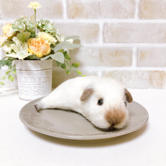 ひかりモット＜モルモットの総合栄養食＞｜小動物のエサ｜キョーリン【Hikari】 FUSTMW モルモットエプロン モルモット愛好家ギフト かわいいモルモット 料理 キッチン シェフ BBQ グリル ガーデニング