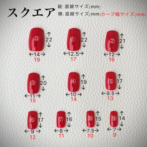 ネイルチップ×2 FASHION NAIL XZF-002 ネイルチップ スクエア ミディアム