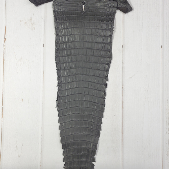 ワニ革　半艶マット　黒　No.C008518 4枚目の画像