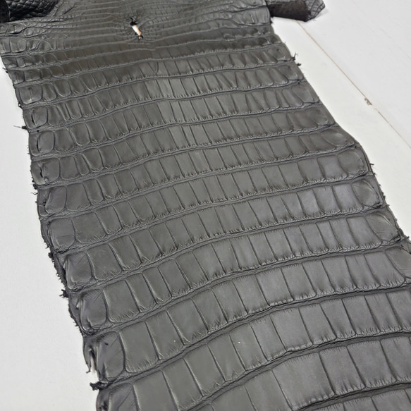 ワニ革　半艶マット　黒　No.C008518 12枚目の画像