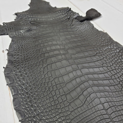 ワニ革　半艶マット　黒　No.C008518 11枚目の画像