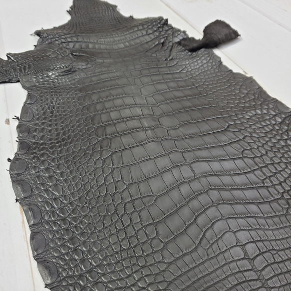 ワニ革　半艶マット　黒　No.C008518 11枚目の画像