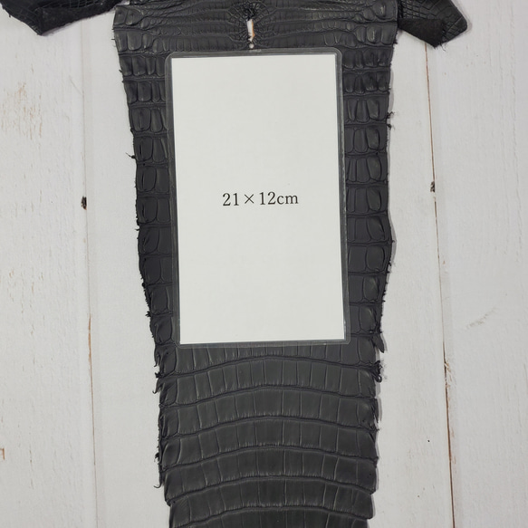 ワニ革　半艶マット　黒　No.C008518 8枚目の画像