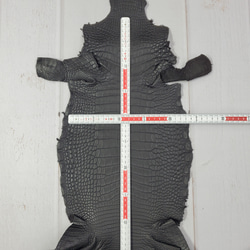 ワニ革　半艶マット　黒　No.C008518 5枚目の画像