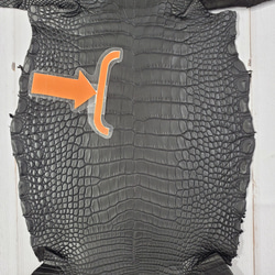 ワニ革　半艶マット　黒　No.C008518 9枚目の画像