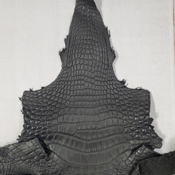 ワニ革　半艶マット　黒　No.C008518 2枚目の画像