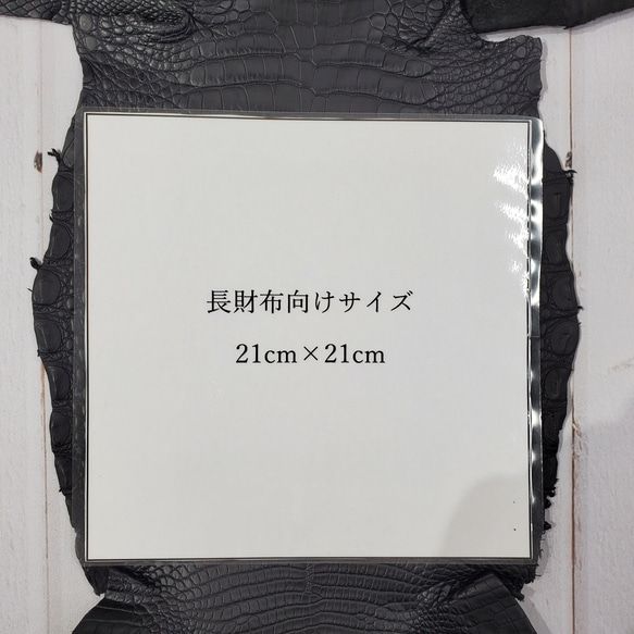 ワニ革　半艶マット　黒　No.C008518 7枚目の画像