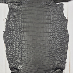 ワニ革　半艶マット　黒　No.C008518 3枚目の画像