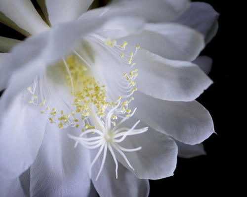 739e60a41a529f920502f20a08d42b