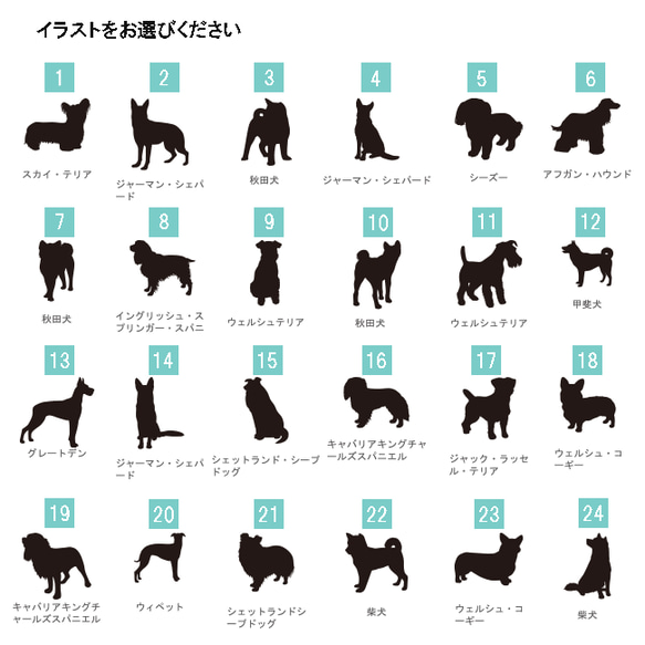 デザインが選べる 遺骨カプセル キーホルダー ペット 犬 猫 遺毛 遺灰 分骨 持ち運び メモリアルグッズ お守り 名入 5枚目の画像