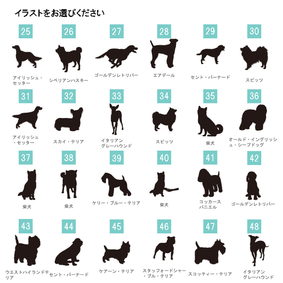 デザインが選べる 遺骨カプセル キーホルダー ペット 犬 猫 遺毛 遺灰 分骨 持ち運び メモリアルグッズ お守り 名入 6枚目の画像