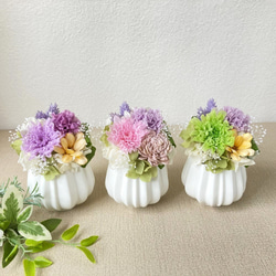 仏花・カラー菊プリザーブドフラワー　　お供え　ミニサイズ　アレンジメント プリザーブドフラワー 仏花 お供え花 乙女菊（おとめぎく）