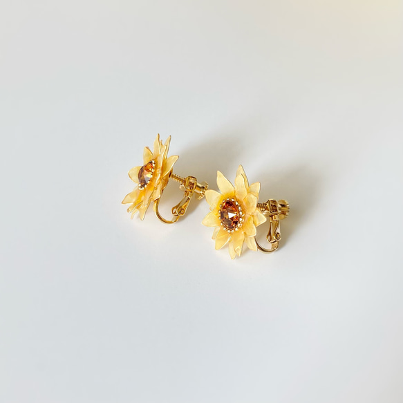  第7張的照片