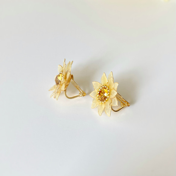  第13張的照片