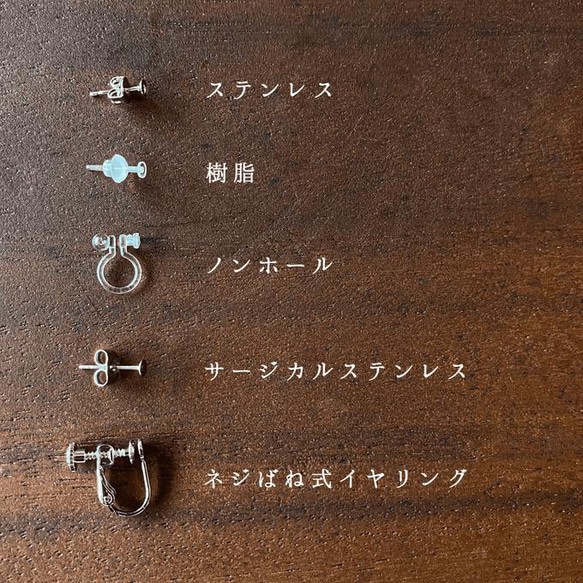 かき氷アソートピアス／イヤリング 4枚目の画像