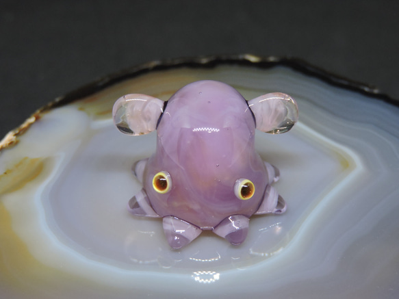 ガラスの深海生物・ちっこいジュウモンジタコ（ダンボオクトパス