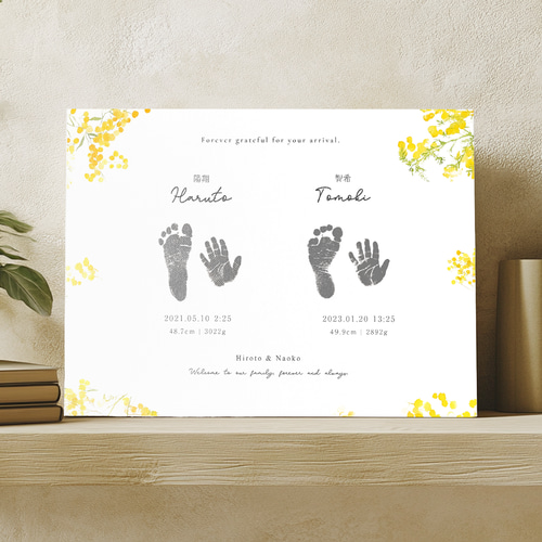 双子 姉妹 兄弟 オーダーメイド 命名書 キャンバスアート 赤ちゃんの