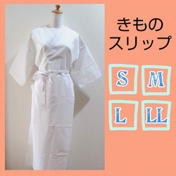 ひだまり スエットスーツ グレー 上下 婦人用 Lサイズ ダンロン 抗菌