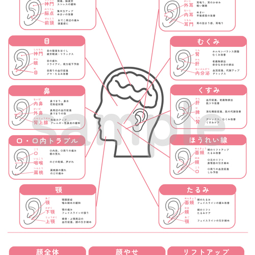 耳ツボ辞典セット | 耳ツボジュエリー イヤリング