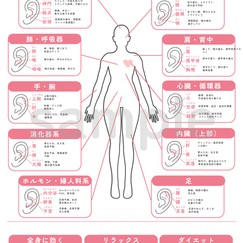 耳ツボジュエリー | 耳ツボ辞典 | 112通り＋αの症状 | B6サイズ 耳ツボ辞典セット | 耳ツボジュエリー イヤリング