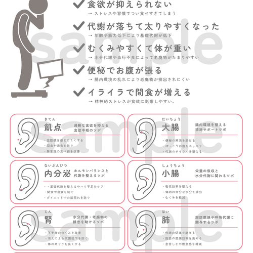 耳ツボ辞典セット | 耳ツボジュエリー イヤリング