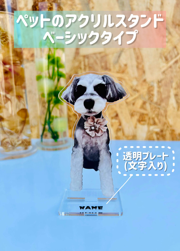 写真で作る ペットのアクリルスタンド オーダーメイド うちの子