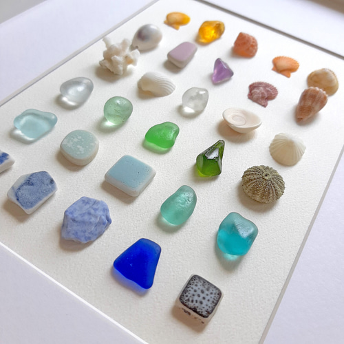 海の標本 “Rainbow”〉シーグラス・貝殻アート その他アート moon