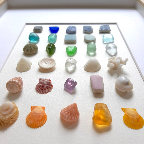 海の標本 “Rainbow”〉シーグラス・貝殻アート その他アート moon