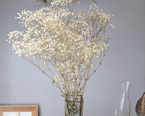 かすみ草アンティークプリザーブド ドライフラワー ドライフラワー