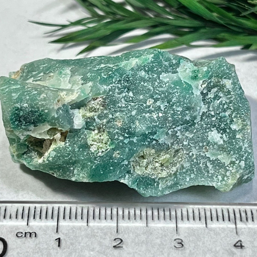 天然ネフライト 翡翠 軟玉 鑑賞石 天然石 自然石 水石 木製台座付き 緑石 ネフライト 3 9 3 7 g 台付き ( 検索 翡翠 飾り石 水石