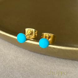 ポメころび◇希少アグニマニタイト×スリーピングビューティー