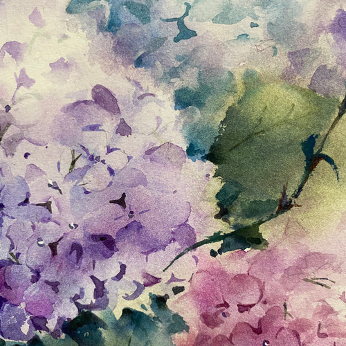 アジサイ　水彩画　原画 水彩画(アジサイ①) 原画 マット無し - メルカリ