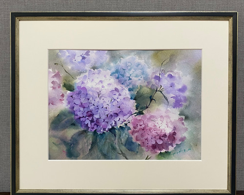 額装　アジサイ　水彩画　原画 94701df7fa7f06c490bd17d2f8cf27