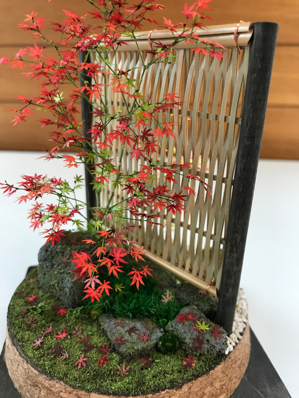 もみじ赤黄色 6枚目の画像