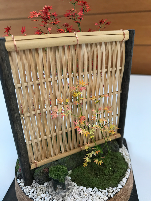もみじ赤黄色 4枚目の画像