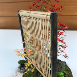 もみじ赤黄色 3枚目の画像