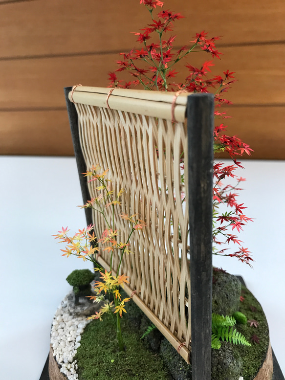 もみじ赤黄色 3枚目の画像