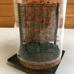 もみじ赤黄色 7枚目の画像