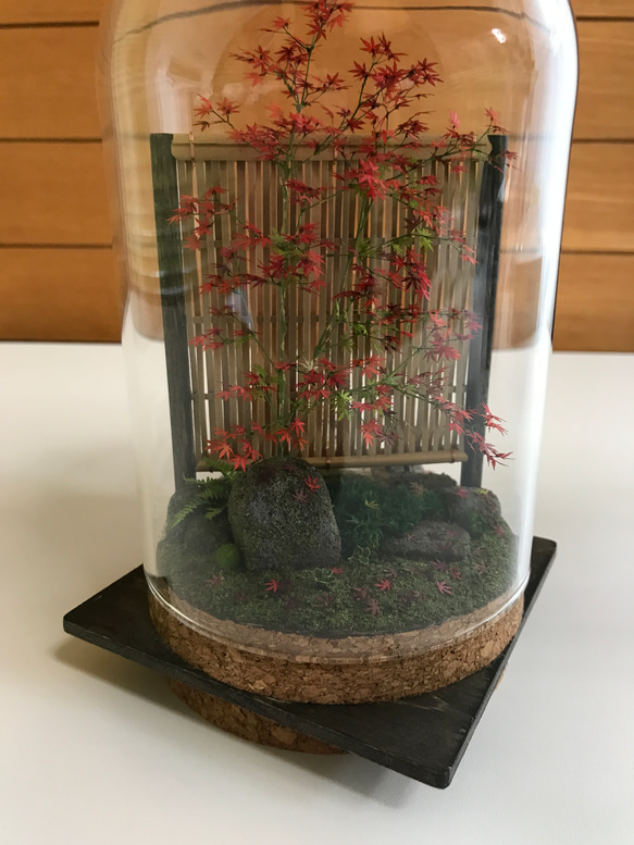 もみじ赤黄色 7枚目の画像